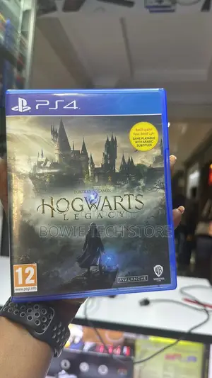 Hogwarts Legacy Ps4 Used Games