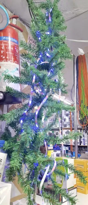 Christmas Tree/Xmas Tree
