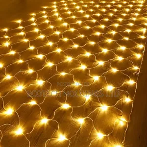 Warm White Net Led Decoration Lights A01