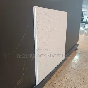 Tegular 14mm Accoustic Ceiling Board
