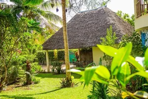 Makuti Thatch Dealers