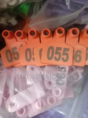 Cow Ear Tags Engraved Permanently