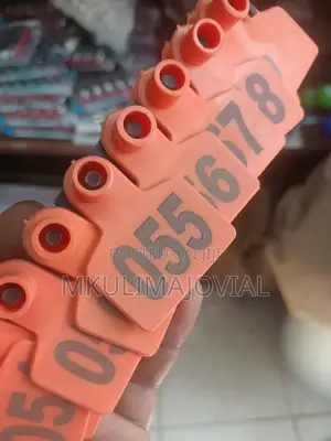 Durable Material Livestock Ear Tags