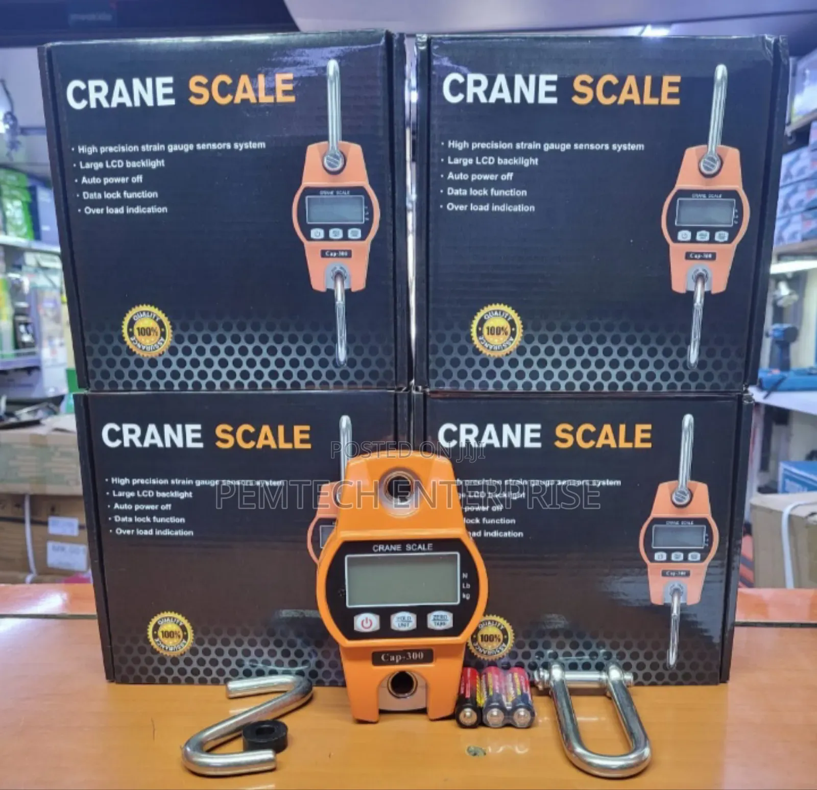 300kg Crane Scale