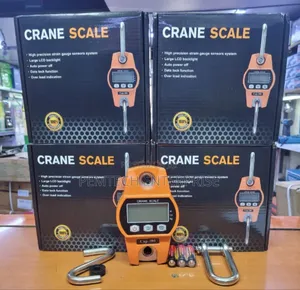 300kg Crane Scale