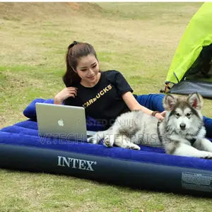 Inflatable Mattress 2.5