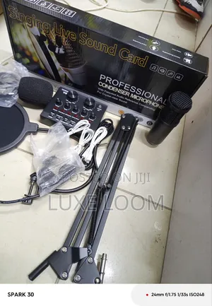 Professional Industrial Condenser Microphone