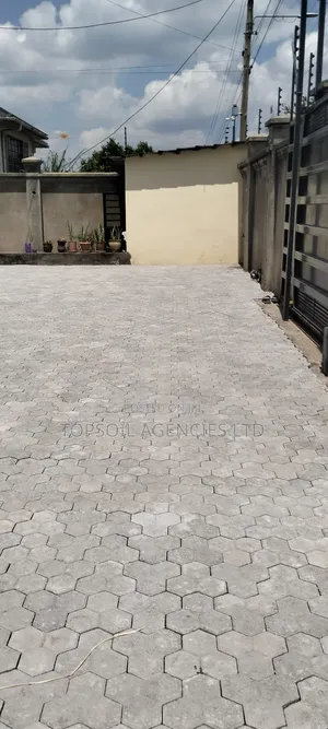 Cabro Hexagon Shape Per Sq Meter