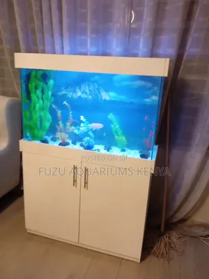 Unique Brilliant White Aquarium