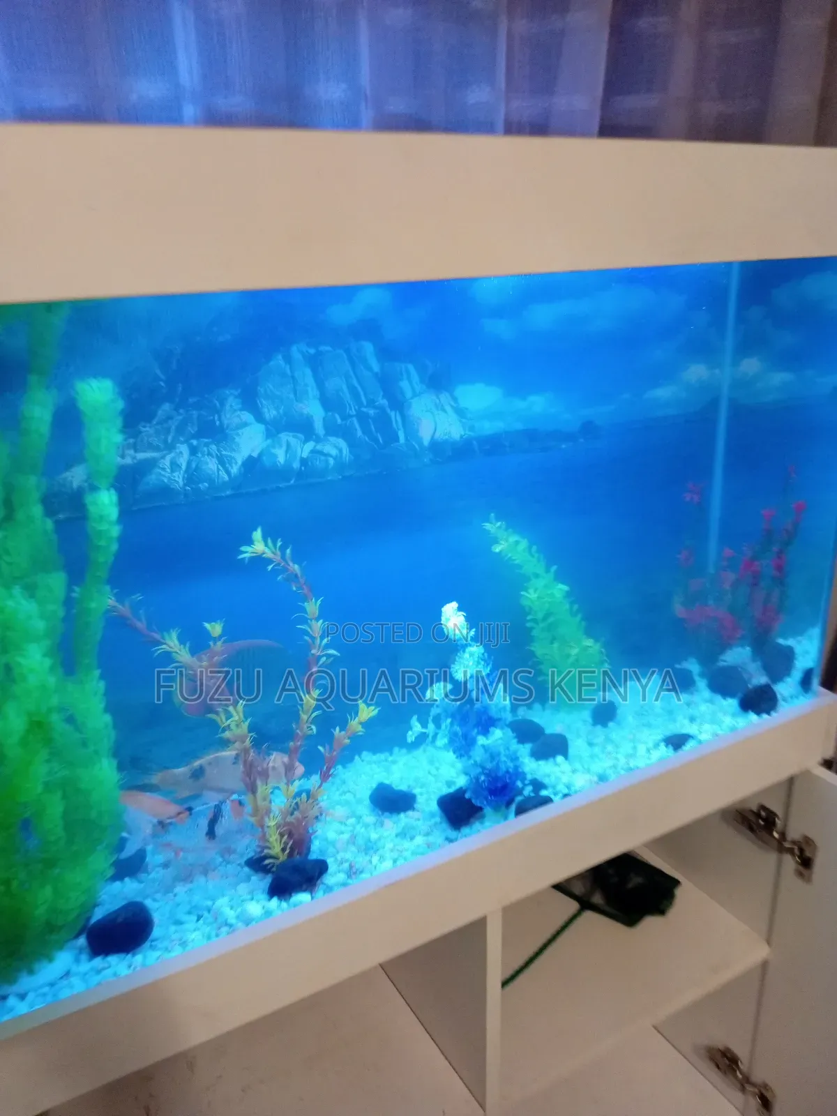 Fully Accessorized Aquarium With Storage Cabinet Beneath