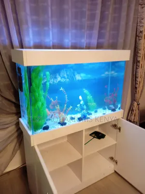 Aquarium Fish Tank With Storage Cabinet and Fish
