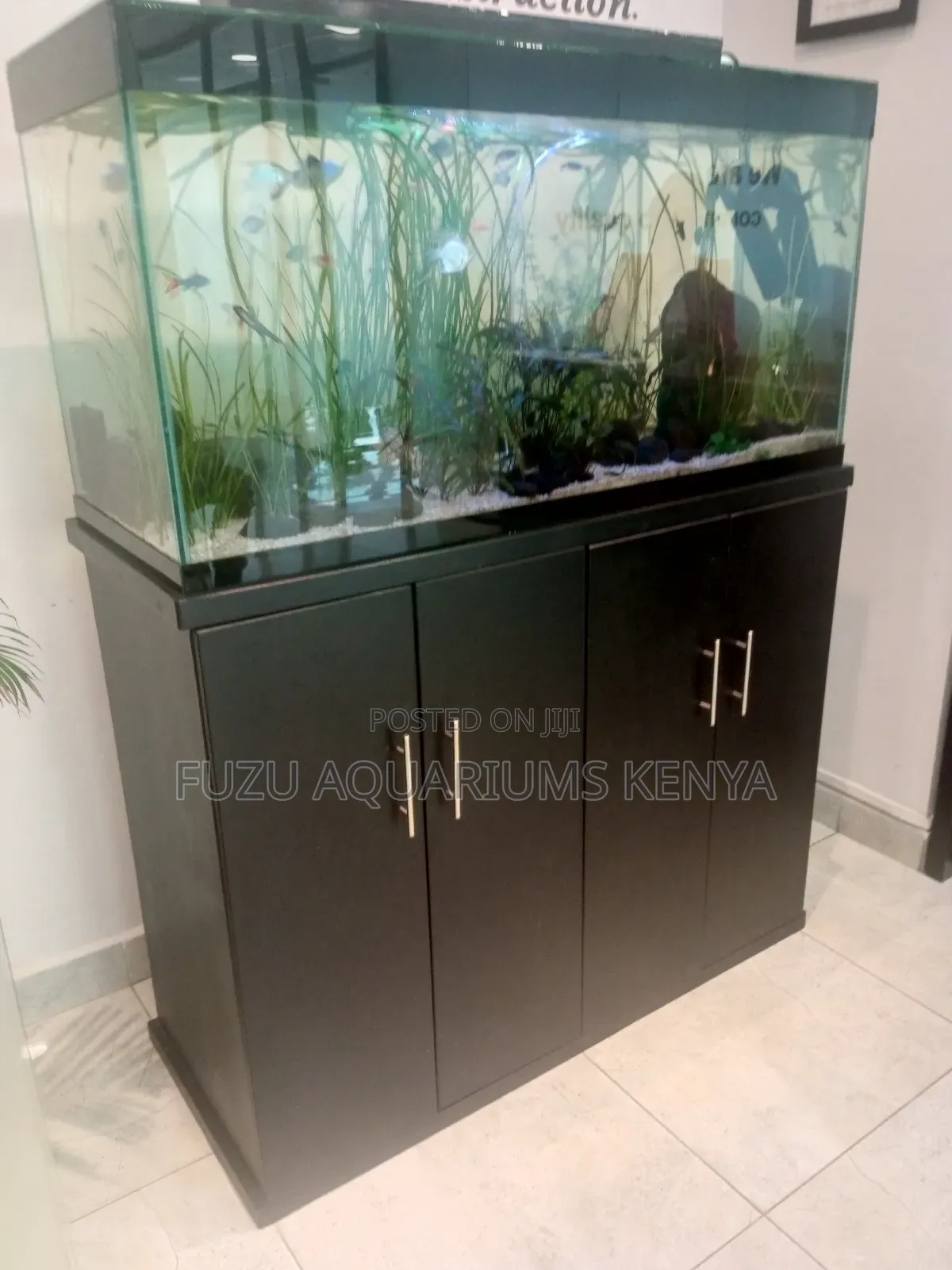 Aquascaped Fish Tank