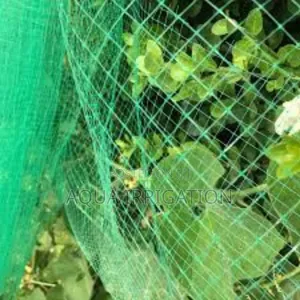 Yieldshield Netting – Boosts Yield by Preventing Bird Damage