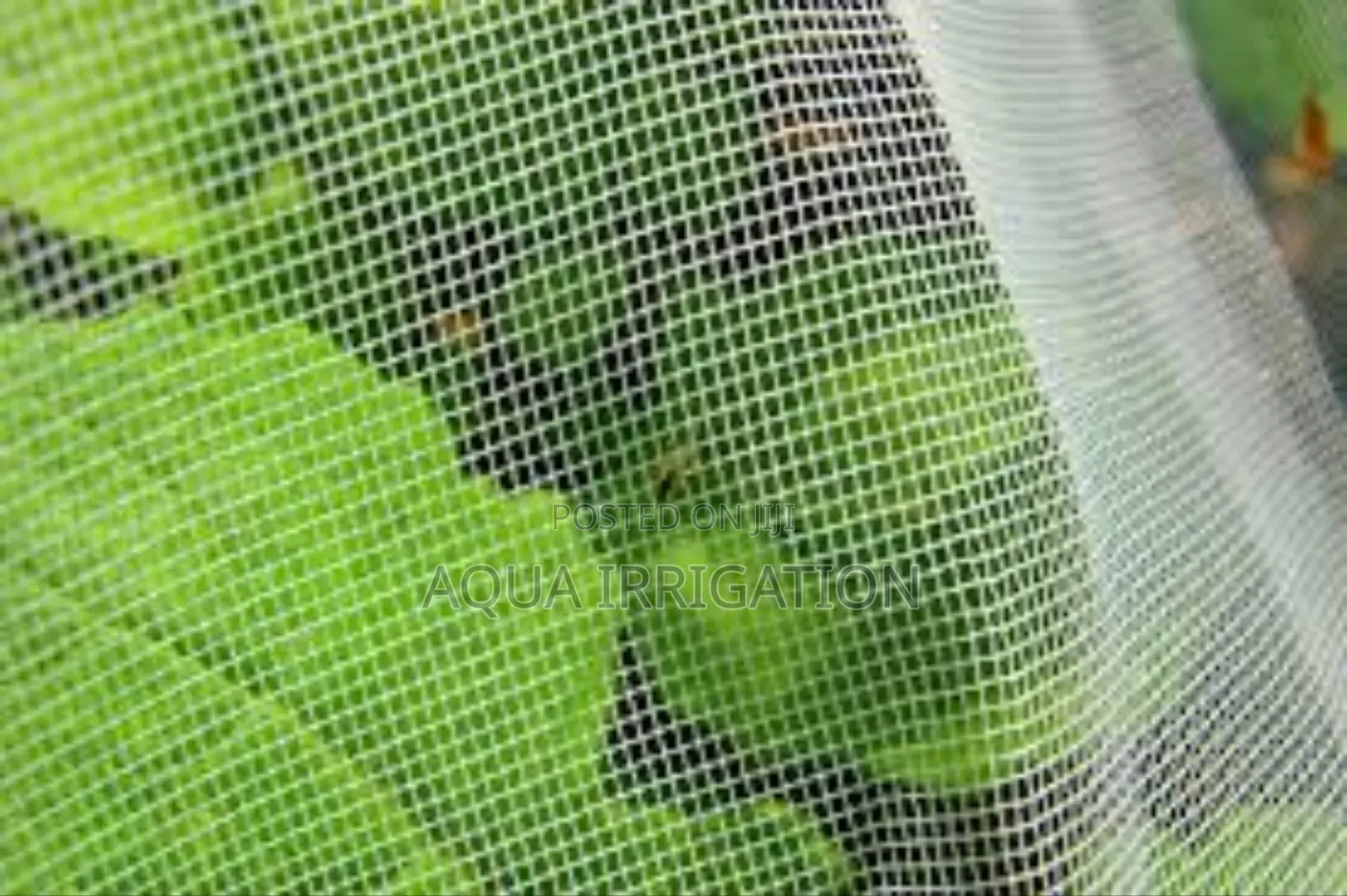 Bugblock Agrinet – Reliable Insect Prevention