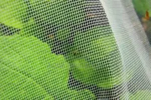 Bugblock Agrinet – Reliable Insect Prevention