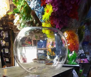 Empty Fish Bowl Glass