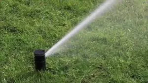 Greenmist Pop-Up Sprinkler – Gentle Spray for Even Watering
