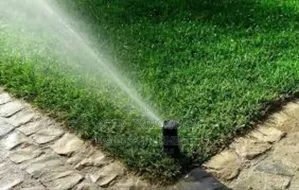 Ecospray Pop-Up Sprinkler – Promotes Sustainable Water Use