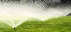 Waterwave Pop-Up Sprinkler – Reliable in All Settings