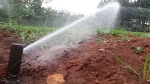 Rainboost Pop-Up System – Maximizes Irrigation Efficiency