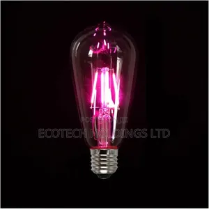 Elegant Purple Filament Bulb Jh9yf