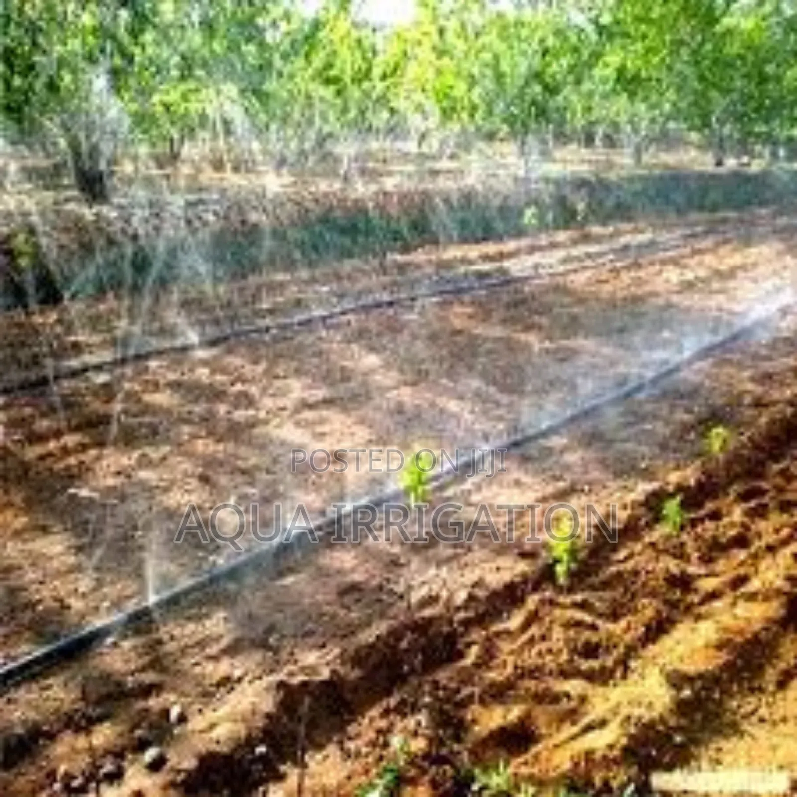 Rainmaster Hose – Precision Irrigation Made Easy