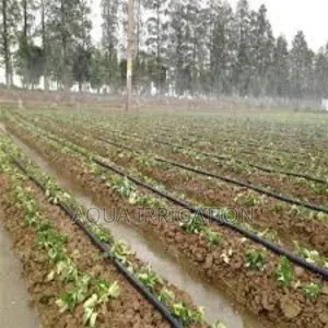 Rainease Irrigation Hose – Lightweight and Easy to Use