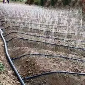 Aquapulse Rain Hose – Ensures Deep-Root Irrigation