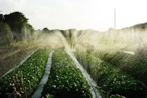 Waterwave Rain Hose – Smooth and Consistent Irrigation