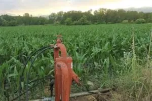 Lushline Rain Hose – Ideal for Vibrant and Healthy Growth