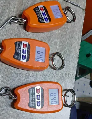 200kgs Mini Crane Scale in Stock