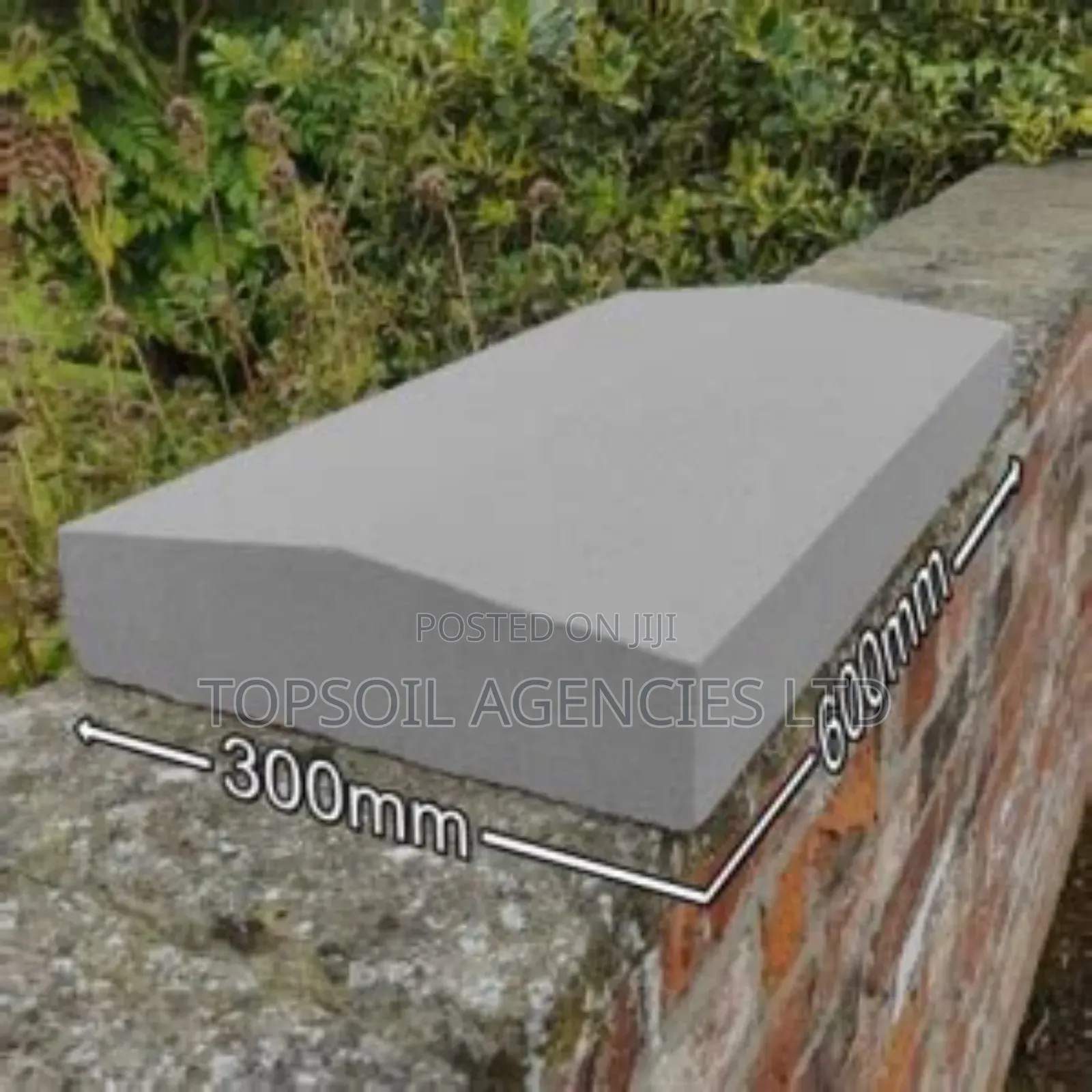 Wall Coping /Shield