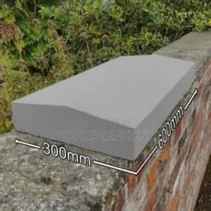 Wall Coping /Shield