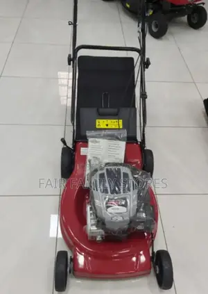 Brigs and Stratton Lawnmower