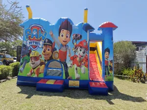 Bouncing Castle for Hire