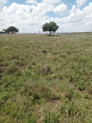 1⁄4 Acre for Sale in Kisaju Kajiado County