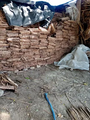 Makuti Supply Diani