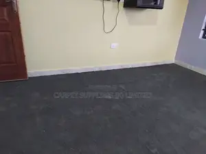 Grey Stlish Carpets