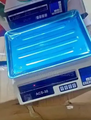 Electric ACS 30 Butchery Scale