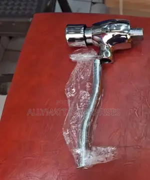 Urinal Flash Valve
