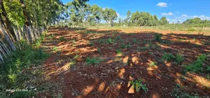 1⁄4 Plots For Sale St George's Eldoret