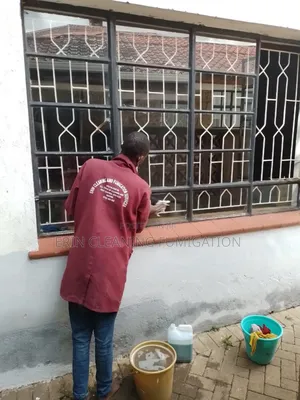 Cleaning Services of Houses