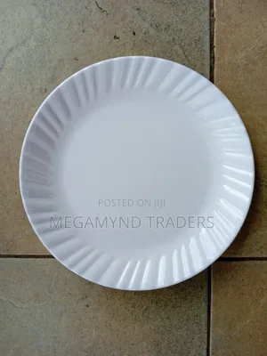 12pc Melamine Dinner Plates/ White Plates