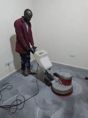 Professional Cleaning Cleaners Around