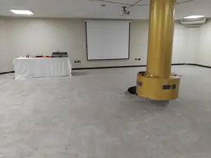 Conference Beige Carpet(Wall to Wall )