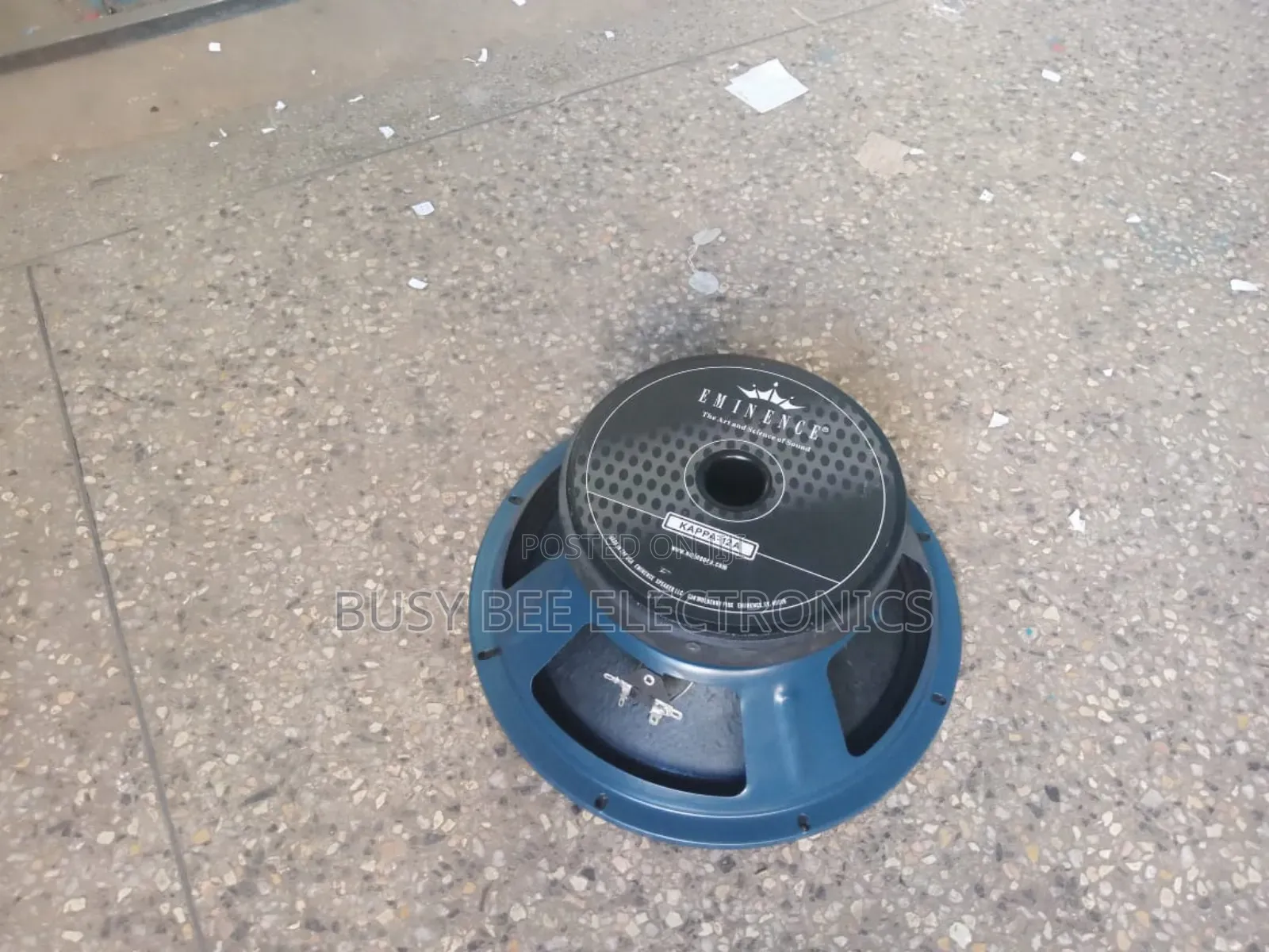 Single Coil Kappa 12 Eminence Speaker