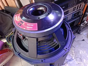 Black Spider PD 1895 18 Inch Bass Speaker