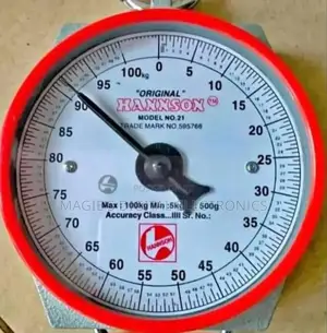 Accurate 100kg Hanson Scale
