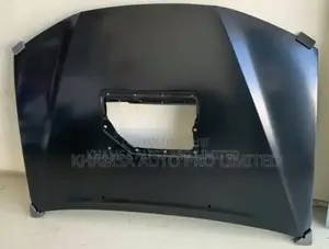 Vigo 2012 Bonnet With Hole