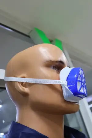 Dust Filter Mask